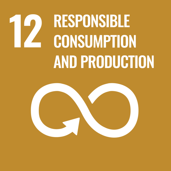 SDG Goal 12 - Responsible consumtion and production
