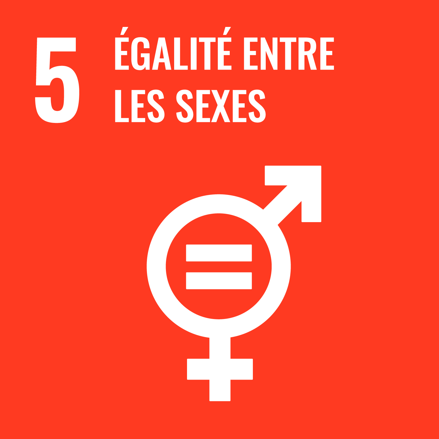 Objectif 5 - Parvenir à l’égalité des sexes et autonomiser toutes les femmes et les filles