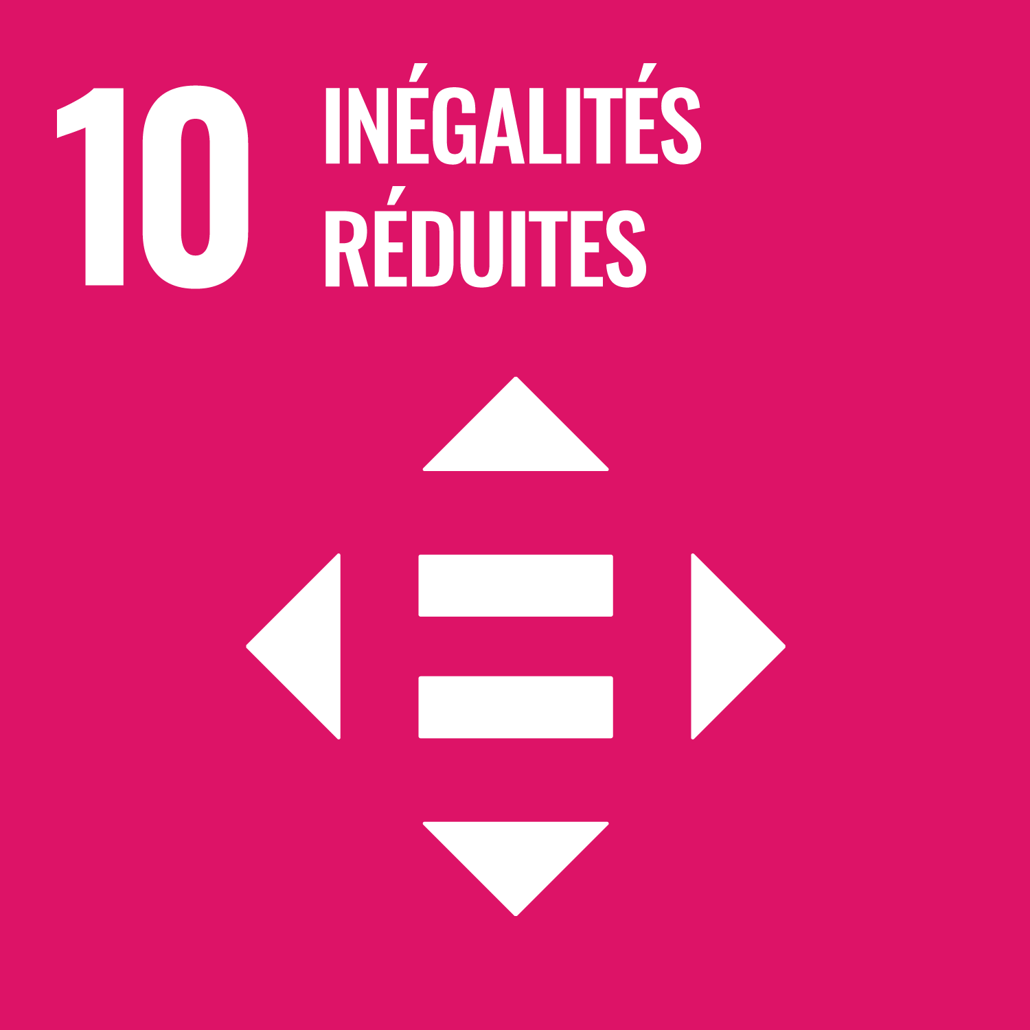 Objectif 10 - Réduire les inégalités dans les pays et d’un pays à l’autre
