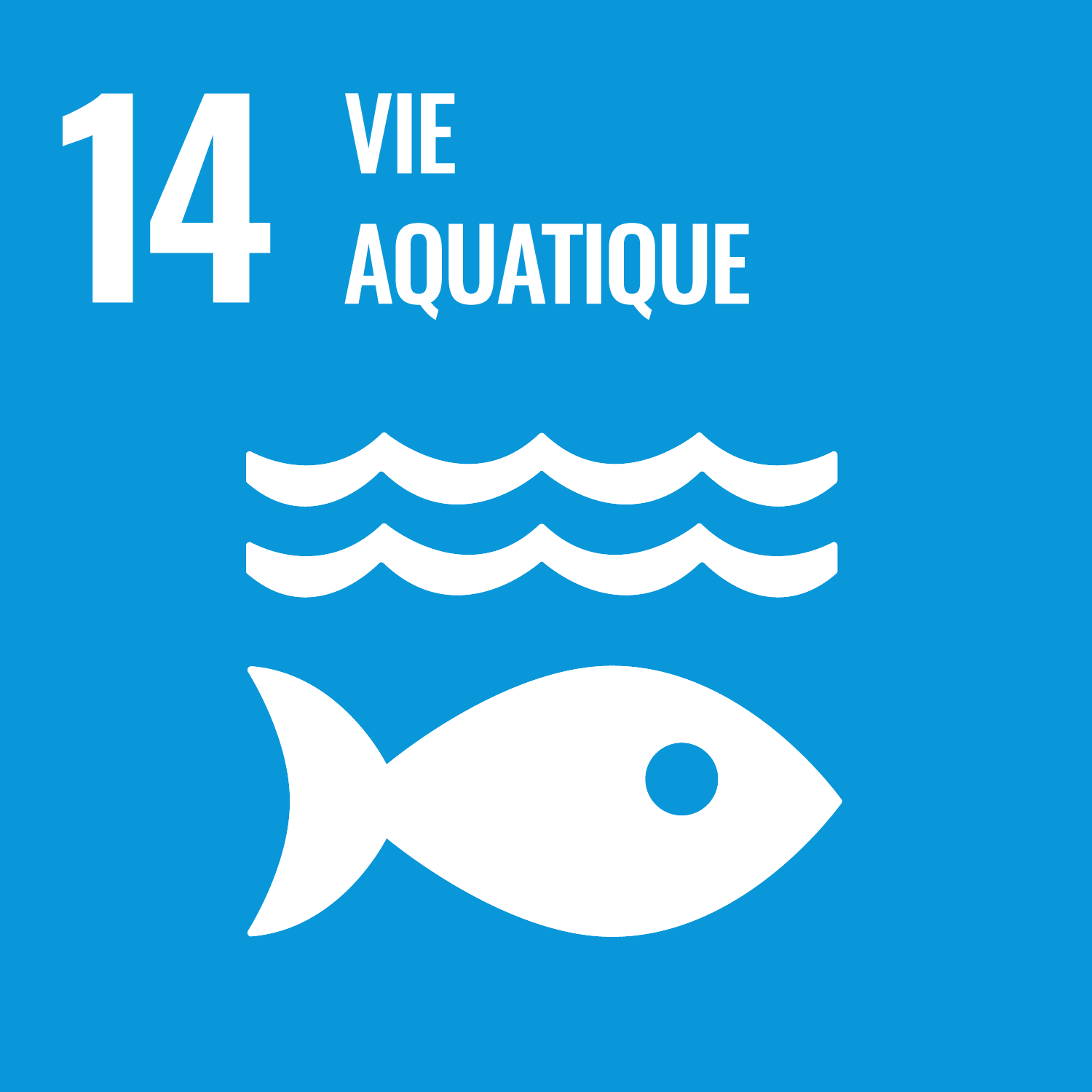 Objectif 14 - Conserver et exploiter de manière durable les océans, les mers et les ressources marines aux fins du développement durable
