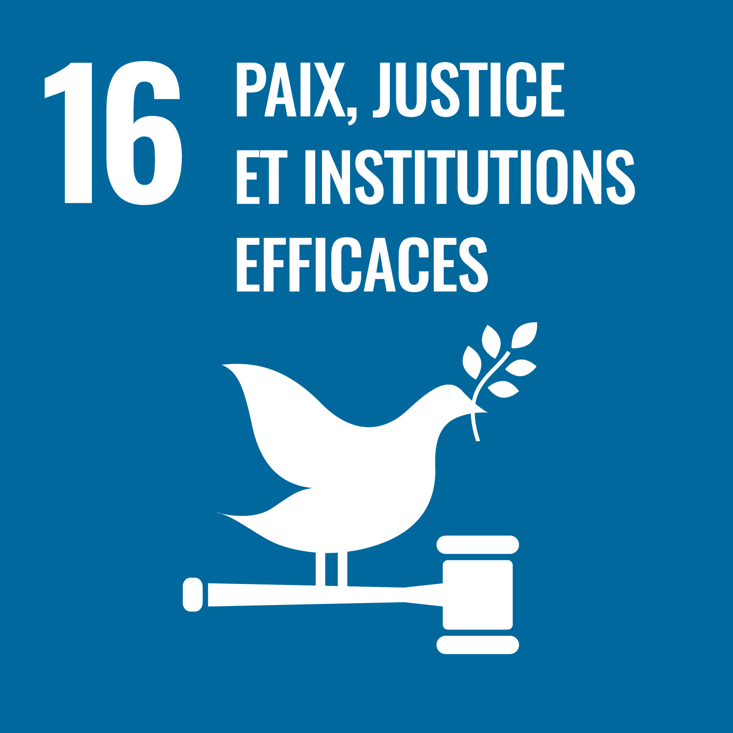 Objectif 16 - Promouvoir l’avènement de sociétés pacifiques et inclusives aux fins du développement durable, assurer l’accès de tous à la justice et mettre en place, à tous les niveaux, des institutions efficaces, responsables et ouvertes à tous